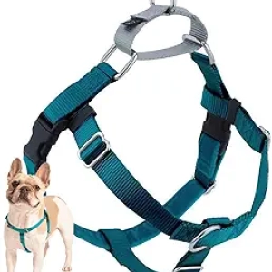 2 Hounds Design Freedom No Pull Dog Harness - Made in USA | Teal Medium