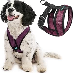 Gooby Comfort X No Pull Dog Harness for Small Dogs - Purple Medium