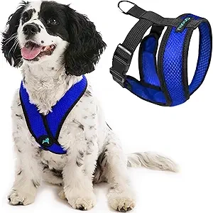 Gooby Comfort X No Pull Dog Harness for Small Dogs - Blue Medium