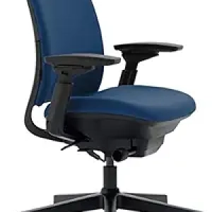 Steelcase Amia Ergonomic Office Chair - Premium Lumbar Support & 4D Adjustable Arms
