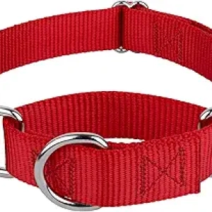 Heavy-Duty Martingale Dog Collar - No Buckle Training Collar for Large Dogs | Country Brook Petz