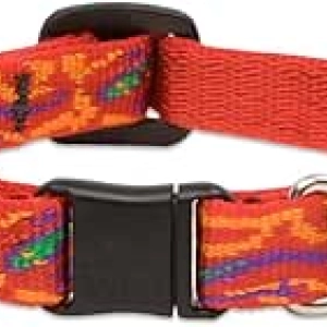 Go Go Gecko Cat Safety Collar 8-12" | Breakaway Buckle & Chew Guarantee
