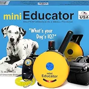 Educator ET-300 Mini E Collar Dog Training Remote - Waterproof, 1/2 Mile Range