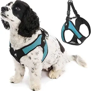 Gooby Escape Free Easy Fit Dog Harness Small - Turquoise No Pull Step-In Harness