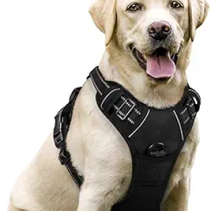 rabbitgoo Large Dog No Pull Harness with 2 Leash Clips - Reflective, Padded, Easy Control
