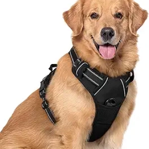 rabbitgoo No Pull Dog Harness XL for Large Dogs - Reflective, Padded & Easy Control