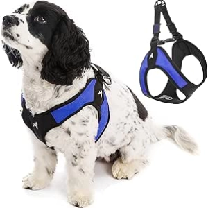 Gooby Escape Free X-Small Dog Harness - No Pull Step-In Harness for Small Dogs