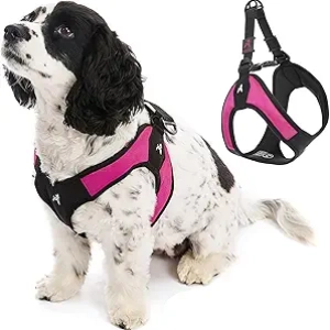 Gooby Escape Free No Pull Dog Harness - Hot Pink XS for Small Dogs