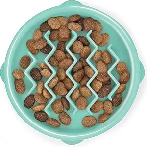 Outward Hound Small Slow Feeder Bowl - Puzzle Dog Bowl for Fast Eaters