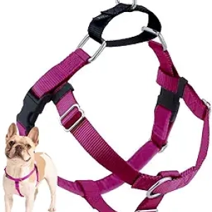 2 Hounds Design Freedom No Pull Dog Harness - Made in USA | Medium