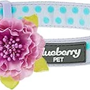 Purple Adjustable Dog Collar for Small Dogs with Silk Flower | Blueberry Pet