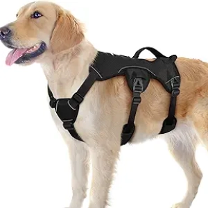 Escape Proof Dog Harness for Large Dogs | No Pull Vest with Lift Handle