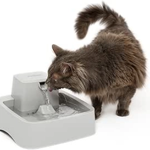 PetSafe Oasys 1/2 Gallon Pet Water Fountain - Cat & Dog Hydration Station