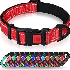 Taglory Reflective Dog Collar with Safety Locking Buckle - Large