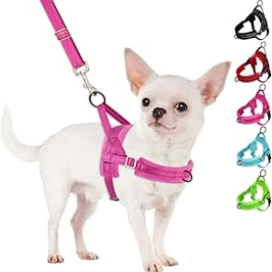SlowTon No Pull Small Dog Harness & Leash Set - Adjustable Puppy Vest with Reflective Safety