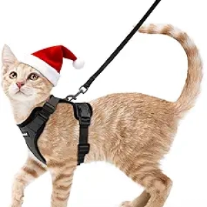 rabbitgoo Cat Harness and Leash - Escape Proof Adjustable Vest for Walking, XS Black
