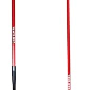 CRAFTSMAN 2-Piece Garden Tool Set - Fiberglass Shovel & Rake for Landscaping