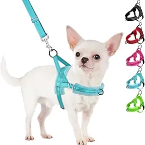 SlowTon No Pull Small Dog Harness & Leash Set - Front Clip Vest for Puppies