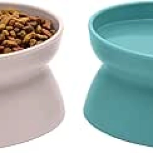 Elevated Cat Bowls Set of 2 - Whisker-Friendly Raised Feeding Dishes, Modern Pedestal Design