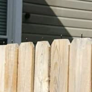 Anti-Climb Fence Spikes - Black Stainless Steel Home Security Deterrent