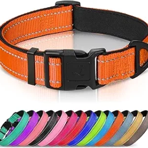 Joytale Reflective Dog Collar - Padded Neoprene, Large Dogs, Safety Orange