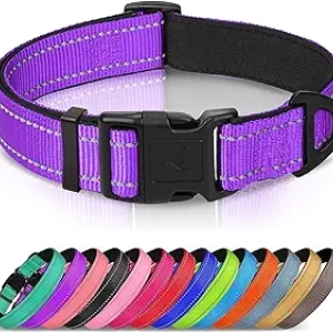 Joytale Reflective Dog Collar - Neoprene Padded Adjustable Pet Collar for Large Dogs