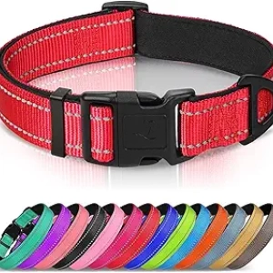 Joytale Reflective Dog Collar - Padded Neoprene for Large Dogs, Red