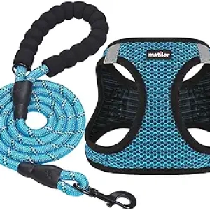 Blue Air Mesh Step-in Dog Harness for Small & Medium Dogs - Breathable Puppy Vest
