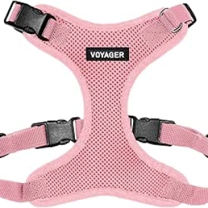 Voyager Step-in Pet Harness All Weather Mesh - Adjustable for Cats & Dogs, Pink M