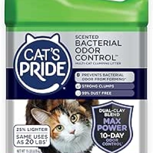 Cat's Pride Max Power Odor Control Litter - 10 Days Protection, 99% Dust Free