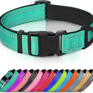 Joytale Reflective Dog Collar - Padded Neoprene, Large Dogs, Safety Visibility