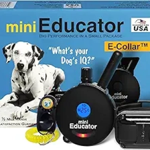 Educator ET-300 Dog Training Collar with Remote - Waterproof E Collar for All Breeds