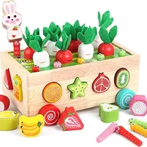 Montessori Wooden Educational Toys for Toddlers 1-3 Years - Shape Sorting & Fine Motor Skills