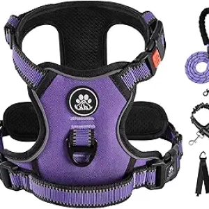 IVY&LANE No Pull Dog Harness for Medium Dogs with Leash & Reflective Safety Features