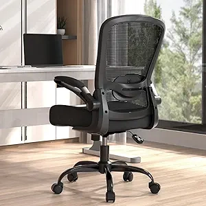 Ergonomic Office Chair with Adjustable Lumbar Support & Flip-up Armrests | BIFMA Certified