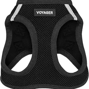 Best Pet Supplies Voyager Step-in Air Harness for Dogs & Cats | No Pull, Reflective, All Weather