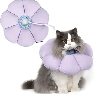 Cute Waterproof Cat Recovery Collar | Soft Elizabethan e-Collar for Cats M Size