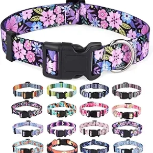 Bohemian Floral Dog Collar - Adjustable Tribal Geometric Pattern Collar for Small Medium Large Dogs