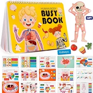 Montessori Human Body Anatomy Busy Book for Kids 4-8 | Educational Sensory Toy