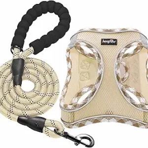 No Pull Dog Harness with Leash Set - Reflective Step-In Harness for Small Dogs