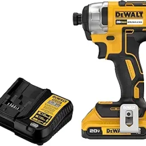 DEWALT 20V MAX Impact Driver Kit with Battery & Charger (DCF787D1)