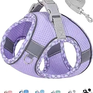 Petank No Pull Dog Harness for Small & Medium Dogs - Purple Step-In Vest with Leash