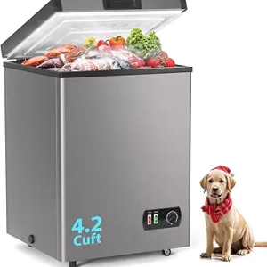 LifePlus 4.2 Cu Ft Chest Freezer - Compact Deep Freezer with 7 Temperature Control