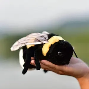 TAMMYFLYFLY Soft Bee Plush Toy - Hand-Cut Stuffed Honeybee 17cm