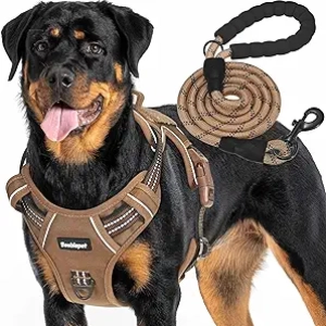 Heavy Duty Tactical Dog Harness for Large Dogs - No Pull Military K9 Training Vest