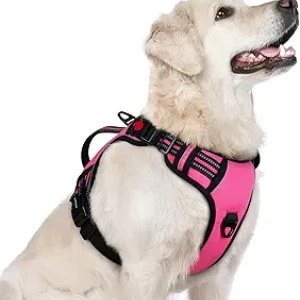 rabbitgoo No Pull Dog Harness for Large Dogs - Reflective, Padded & Adjustable