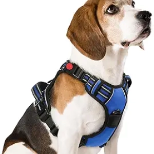 rabbitgoo No Pull Dog Harness Medium - Adjustable Reflective Vest with Control Handle