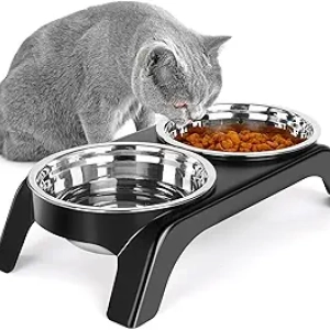 Elevated Cat Bowls Anti-Vomiting Raised Food Bowl Set with Stainless Steel