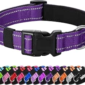 Reflective Padded Dog Collar for Medium Dogs | Quick Release Neoprene Breathable