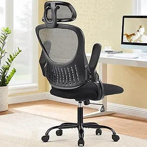 Ergonomic Office Chair with Lumbar Support & Adjustable Headrest